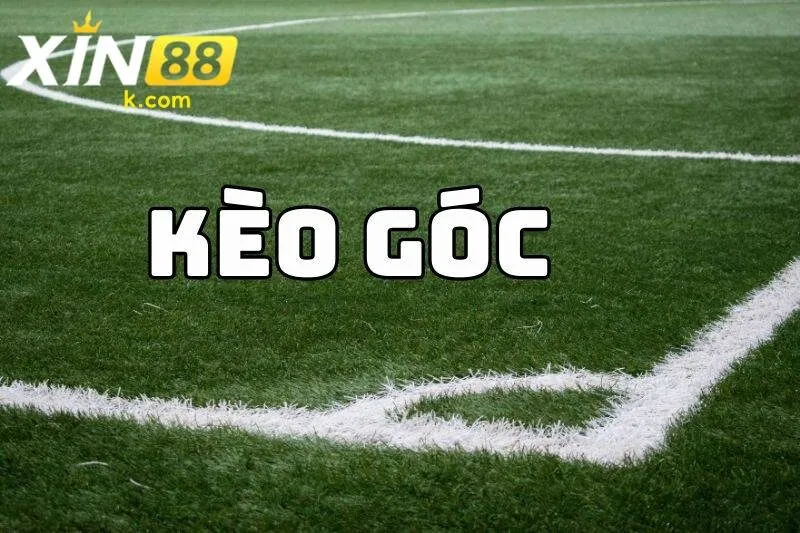 Các bước soi kèo góc tại XIN88 đơn giản
