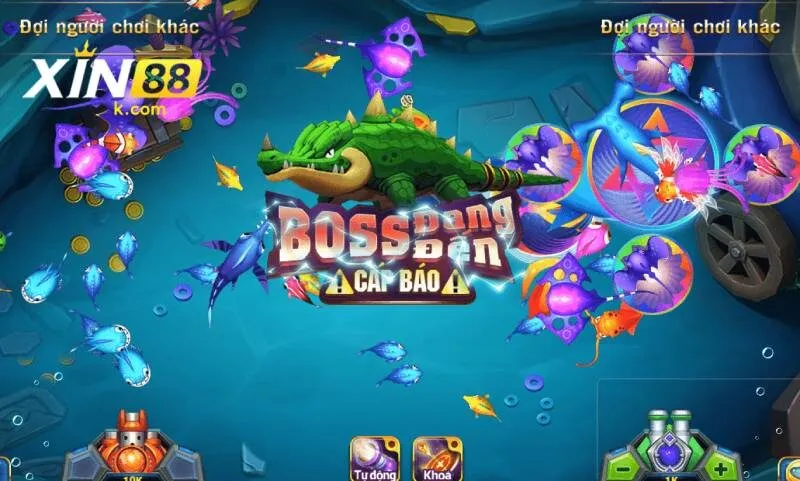 Tập trung cao độ để bắn cá